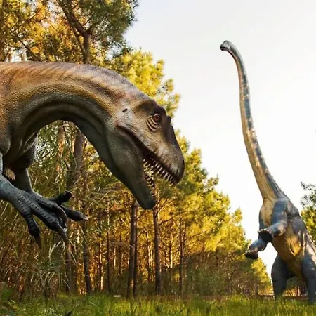 Casa Do Sol Apartment *