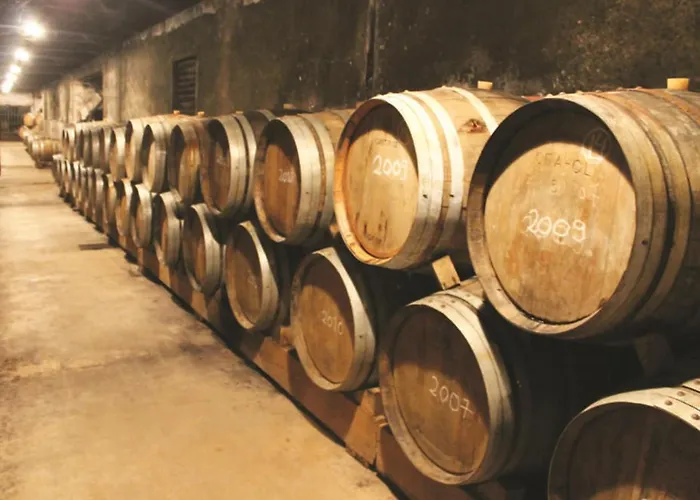 Casa Do Sol Lourinha (Lisbon)